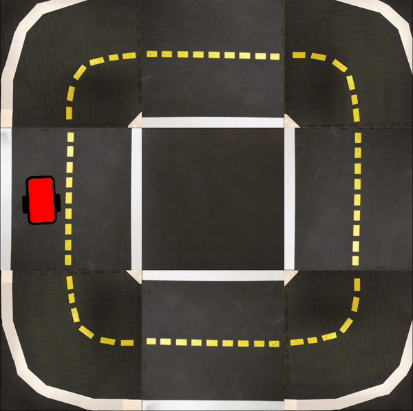 GIF 3
